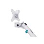 Digitus Supporto per monitor a design singolo, 35", 10 kg (DA-90470)