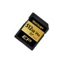 Patriot Memory Patriot 512 GB SDXC UHS-II Classe 10 (PEF512GEP92SDX)