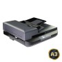 Avision Dokumentenscanner AD5800 A3 mit ADF und Flachbett - Dokumentenscanner - A3 (000-1136-02G)