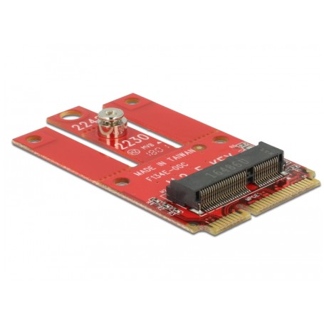 DeLOCK 63909 scheda di interfaccia e adattatore Interno M.2 (63909)