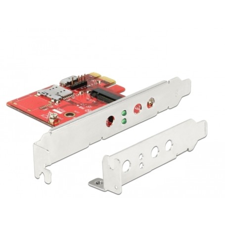 DeLOCK 91748 lettore di schede PCI Express Interno Metallico, Rosso (91748)