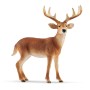 Schleich Wild Life 14818 action figure giocattolo (14818)