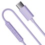SAN FRANCISCO 2 PURPLE TYPE-C (1040386)