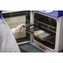 Brady THT-151-499-1.5-SC etichetta per stampante Bianco Etichetta per stampante autoadesiva (116382)