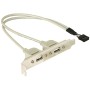DeLOCK Slotbracket 1x internal USB 5pin  2x USB2.0 external cavo USB 0,3 m USB A Bianco (71000)