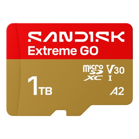 SanDisk Extreme GO 1 TB MicroSDXC UHS-I (SDSQXGN-1T00-GN6MN)