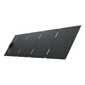 EcoFlow EFSOLAR60-TYPE-C pannello solare 60 W Silicone monocristallino