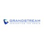 Grandstream Networks GXW-4248 V2 gateway/controller 10, 100, 1000 Mbit/s (GXW4248 v2)