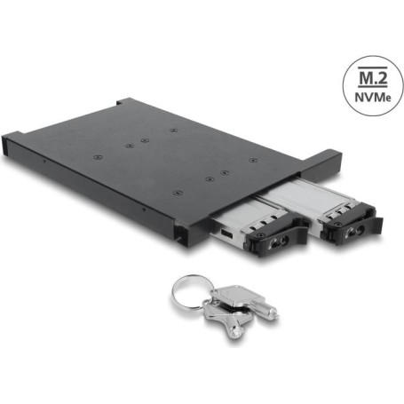 Delock Wechselrahmen für 2 x M.2 NMVe SSD mit SFF-8654 Anschluss für 12,7 mm Slim ODD Schacht (47138)