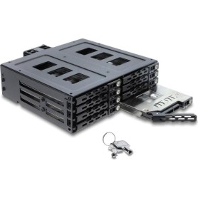 Delock 5.25? Wechselrahmen für 8 x 2.5? SATA oder SAS HDD / SSD mit Schloss (47172)