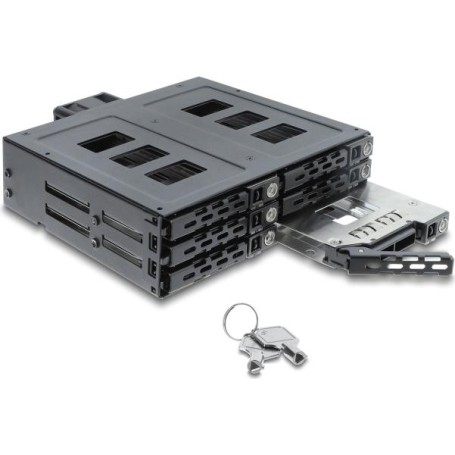 Delock 5.25? Wechselrahmen für 6 x 2.5? SATA oder SAS HDD / SSD mit Schloss (47142)