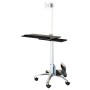 Value Mobile PC Cart, silver (17.99.1174)