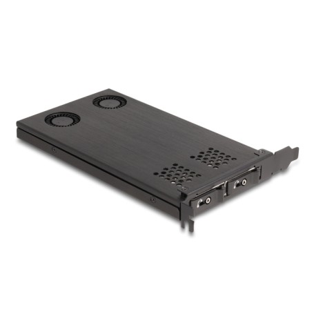 Delock PCI Express x16 Karte Wechselrahmen fr 2 x M.2 NVMe SSD - Bifurcation (47042)