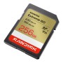 SanDisk Extreme GO 256 GB SDXC UHS-I (00226987)