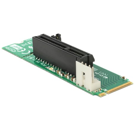 DeLOCK 62584 scheda di interfaccia e adattatore Interno M.2 (62584)