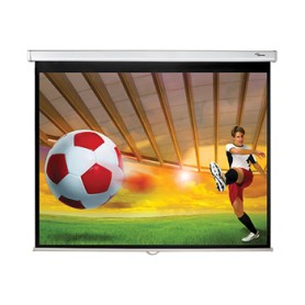 Leinwand 179x141 4:3 (DS-3084PWC)