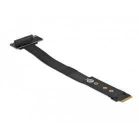 DeLOCK 64135 scheda di interfaccia e adattatore Interno U.2 (64135)