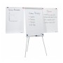 Franken EL-FC22 blocco per lavagne e accessori Libera installazione 680 x 1050 mm Plastica Grigio, Bianco (EL-FC22)