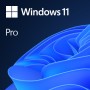 WIN PRO FPP 11 64-BIT ITALIAN USB (HAV-00210)