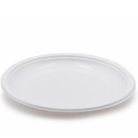 CF20 PIATTI PIANI BIA 18GR PP MULTI (71481)