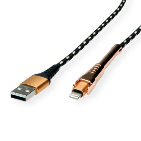 ROLINE 11.02.8923 cavo Lightning 1 m Nero, Oro