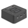 Delock USB 20 Gbps M.2 Dockingstation für 2 x NVMe PCIe SSD mit Klon- und (64300)