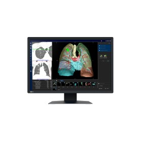 EIZO RadiForce MX243W Monitor PC 61,2 cm (24.1") 1920 x 1200 Pixel WUXGA LCD Nero (MX243W)