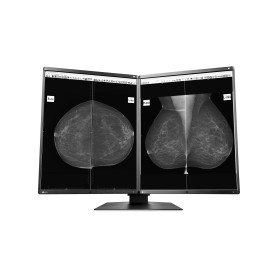 EIZO RadiForce GX560-MD Monitor PC 54,1 cm (21.3") 2048 x 2560 Pixel LCD Nero (GX560MD)