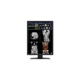 EIZO RadiForce RX270 Monitor PC 54,1 cm (21.3") 1200 x 1600 Pixel UXGA LCD Nero, Bianco