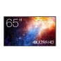 MONITOR CONNECT 4K SERIE N 65 (H1F2C0FBW101)