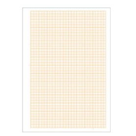 CF25 CARTA MILLIMET. 10FG 21X29,7CM (0106440)