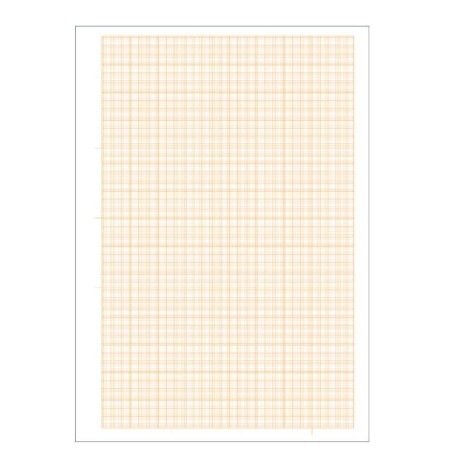 CF25 CARTA MILLIMET. 10FG 21X29,7CM (0106440)