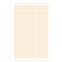 CF25 CARTA MILLIMET. 10FG 21X29,7CM (0106440)