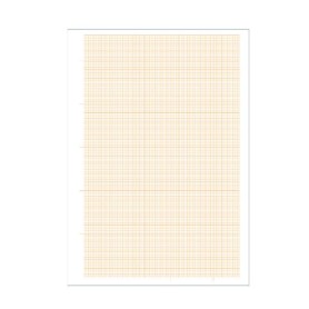 CF10 CARTA MILLIMET. 10FG 29,7X42CM (0107358)