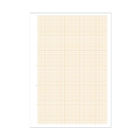 CF10 CARTA MILLIMET. 10FG 29,7X42CM (0107358)