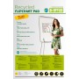 Bi-Office FL0325003 blocco per lavagne e accessori (FL0325003)