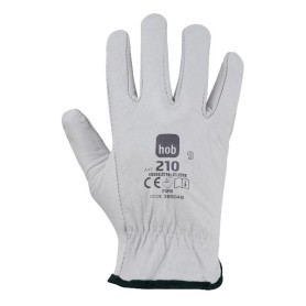 CF12 PA GUANTI 210 TG8 (366048-8)