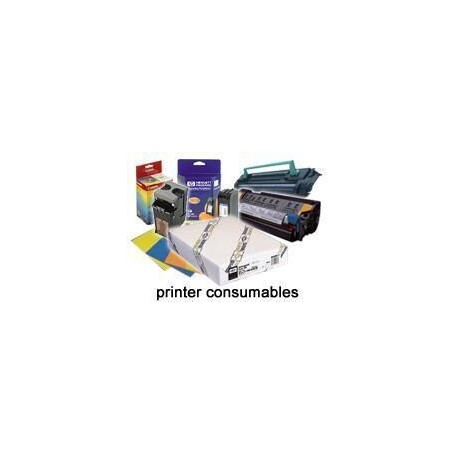 Epson Ultrasmooth Fine Art Paper Roll strumento per grandi formati 15,2 m (C13S041782)