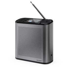 RADIO DIGITALE OSAKA (DR-P530GY)