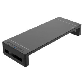 ERGONOMIC MONITOR STAND WITH USB (650883)