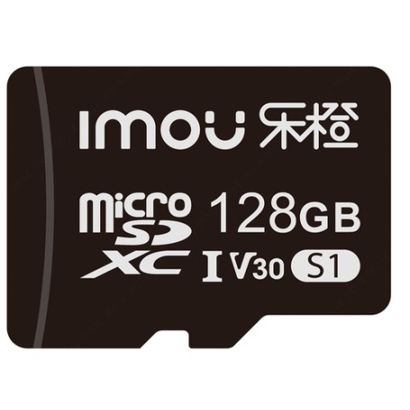 SD CARD 128GB CLASS 1 (ST2-128-S1)