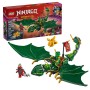 DRAGO DELLA FORESTA VERDE DI LLOYD (71829)