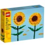 GIRASOLI (40524)