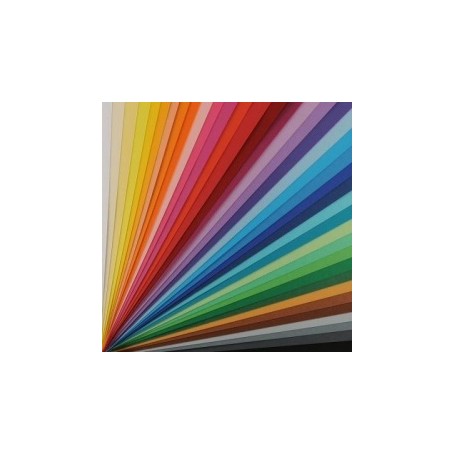 Canson Colorline 25 fogli (200041169)