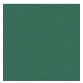 CF25FF COLORLINE 70X100 VERDE VI (C200041216)