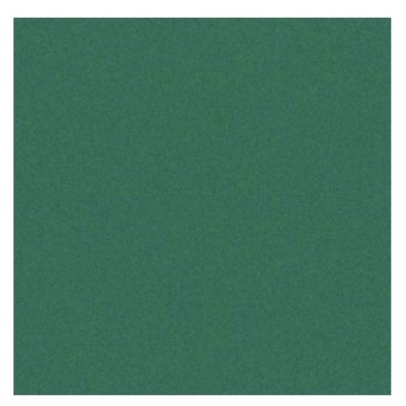 CF25FF COLORLINE 70X100 VERDE VI (C200041216)