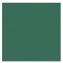 CF25FF COLORLINE 70X100 VERDE VI (C200041216)