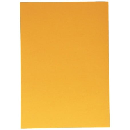 Canson 200040175 cartone 185 g/m² (C200040175)