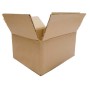 CF15SCATOLAAVANAMICRO3 540X540X450 (E554B)