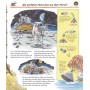 Ravensburger 978-3-473-32732-4 libro Tedesca 16 pagine